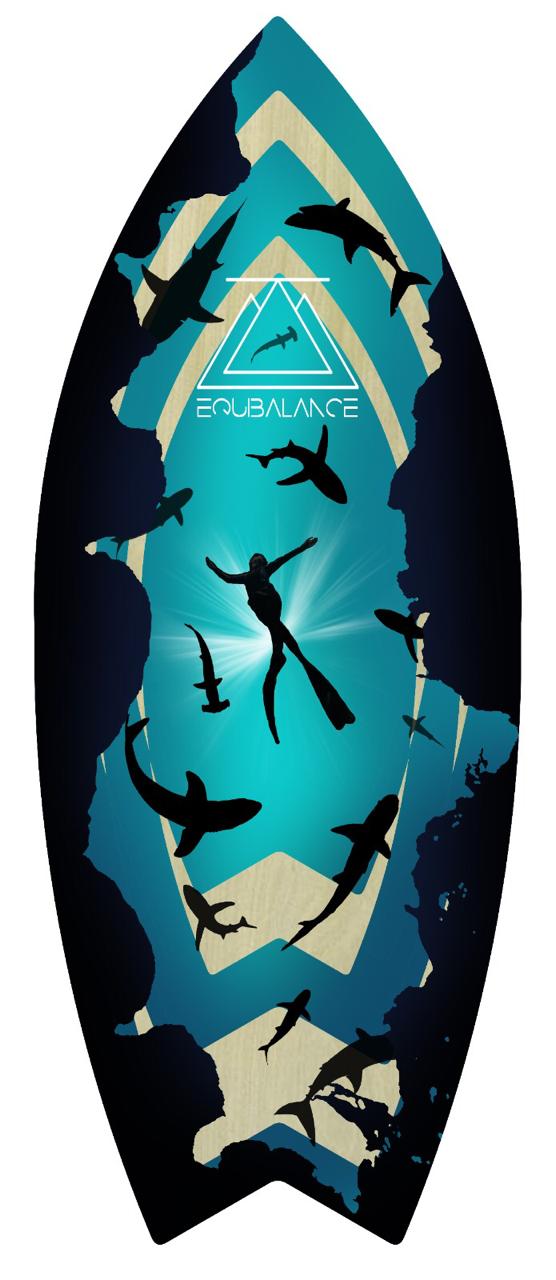 Equibalance board